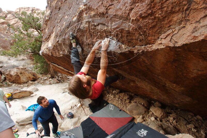 Bouldering in Hueco Tanks on 01/27/2020 with Blue Lizard Climbing and Yoga

Filename: SRM_20200127_1244040.jpg
Aperture: f/5.6
Shutter Speed: 1/250
Body: Canon EOS-1D Mark II
Lens: Canon EF 16-35mm f/2.8 L