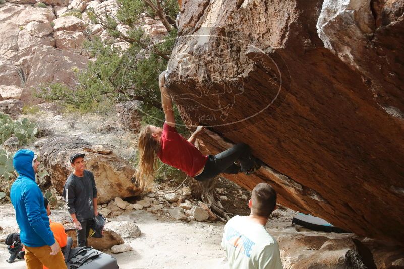 Bouldering in Hueco Tanks on 01/27/2020 with Blue Lizard Climbing and Yoga

Filename: SRM_20200127_1253190.jpg
Aperture: f/9.0
Shutter Speed: 1/250
Body: Canon EOS-1D Mark II
Lens: Canon EF 16-35mm f/2.8 L