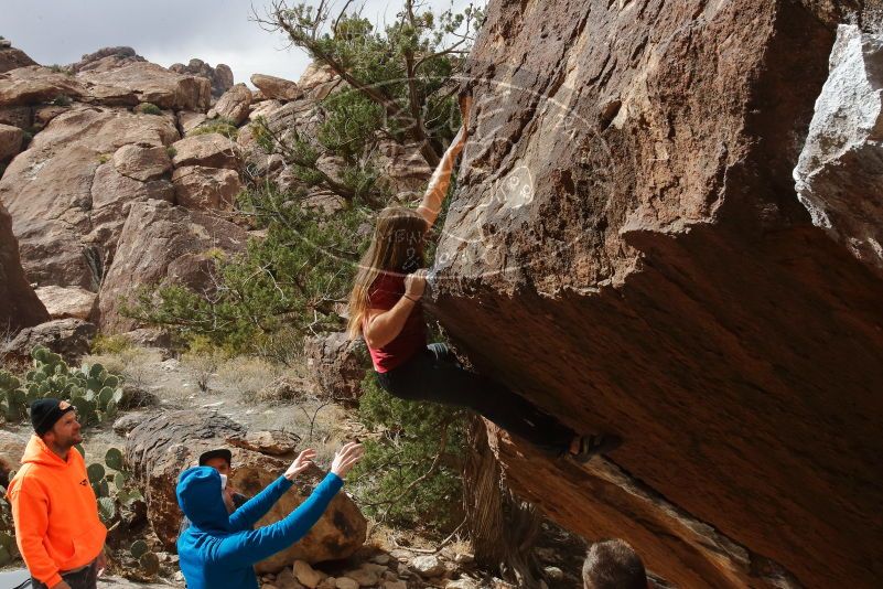 Bouldering in Hueco Tanks on 01/27/2020 with Blue Lizard Climbing and Yoga

Filename: SRM_20200127_1253330.jpg
Aperture: f/16.0
Shutter Speed: 1/250
Body: Canon EOS-1D Mark II
Lens: Canon EF 16-35mm f/2.8 L