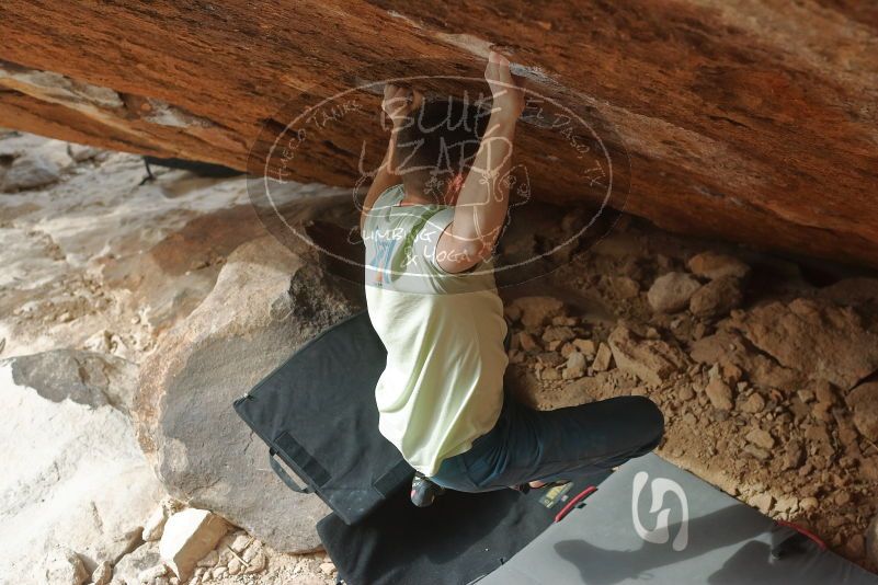 Bouldering in Hueco Tanks on 01/27/2020 with Blue Lizard Climbing and Yoga

Filename: SRM_20200127_1306450.jpg
Aperture: f/4.5
Shutter Speed: 1/500
Body: Canon EOS-1D Mark II
Lens: Canon EF 50mm f/1.8 II