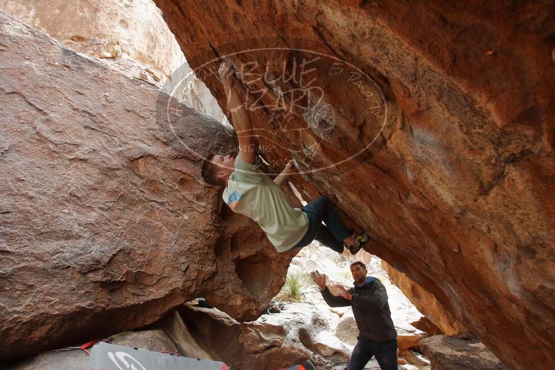 Bouldering in Hueco Tanks on 01/27/2020 with Blue Lizard Climbing and Yoga

Filename: SRM_20200127_1411530.jpg
Aperture: f/6.3
Shutter Speed: 1/250
Body: Canon EOS-1D Mark II
Lens: Canon EF 16-35mm f/2.8 L
