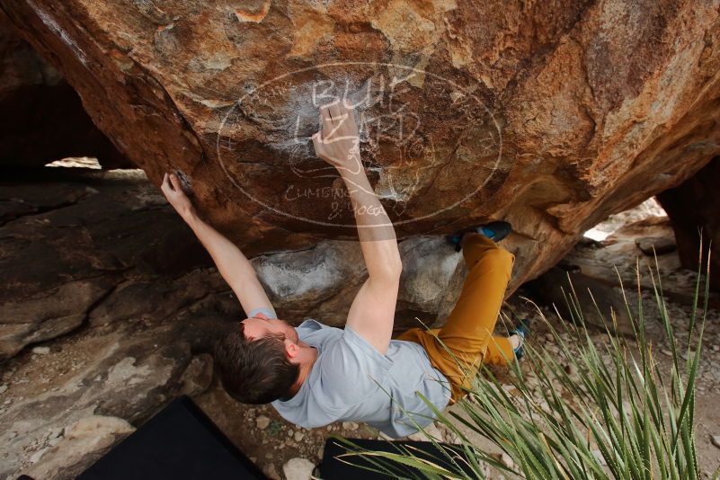 Bouldering in Hueco Tanks on 01/27/2020 with Blue Lizard Climbing and Yoga

Filename: SRM_20200127_1507300.jpg
Aperture: f/7.1
Shutter Speed: 1/250
Body: Canon EOS-1D Mark II
Lens: Canon EF 16-35mm f/2.8 L