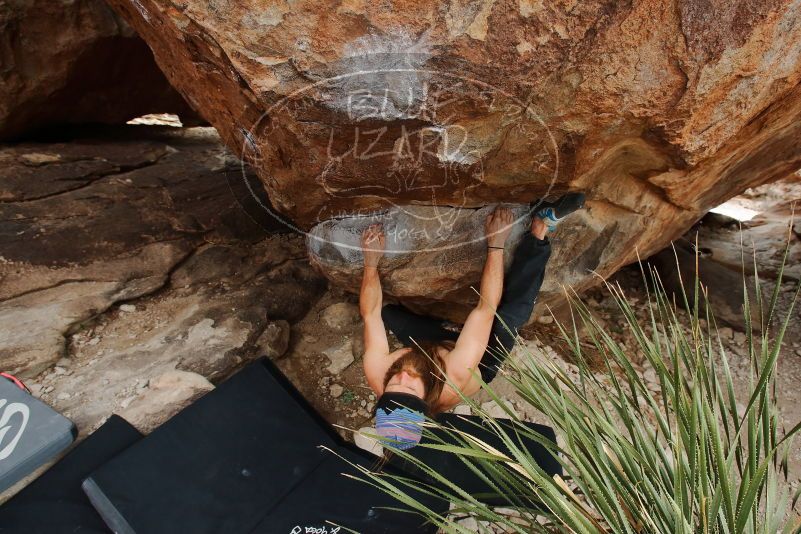 Bouldering in Hueco Tanks on 01/27/2020 with Blue Lizard Climbing and Yoga

Filename: SRM_20200127_1508490.jpg
Aperture: f/5.6
Shutter Speed: 1/250
Body: Canon EOS-1D Mark II
Lens: Canon EF 16-35mm f/2.8 L