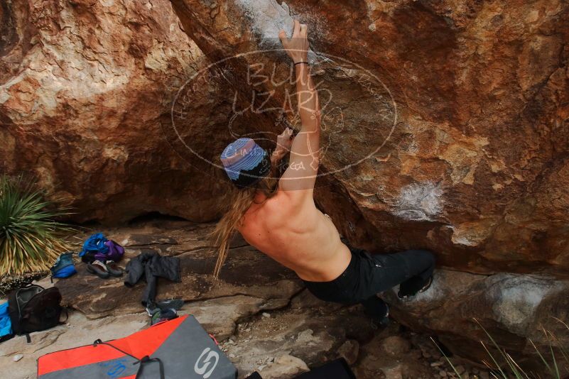 Bouldering in Hueco Tanks on 01/27/2020 with Blue Lizard Climbing and Yoga

Filename: SRM_20200127_1509021.jpg
Aperture: f/7.1
Shutter Speed: 1/250
Body: Canon EOS-1D Mark II
Lens: Canon EF 16-35mm f/2.8 L