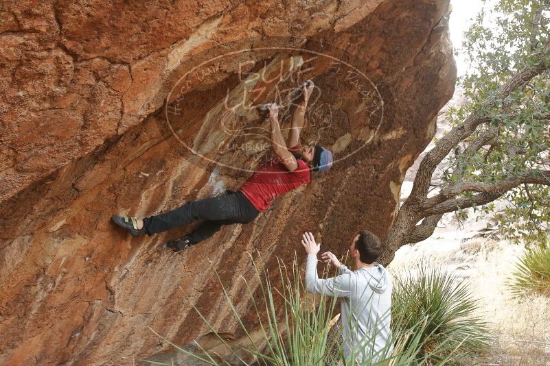 Bouldering in Hueco Tanks on 01/27/2020 with Blue Lizard Climbing and Yoga

Filename: SRM_20200127_1525520.jpg
Aperture: f/5.0
Shutter Speed: 1/250
Body: Canon EOS-1D Mark II
Lens: Canon EF 16-35mm f/2.8 L