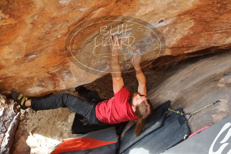 Bouldering in Hueco Tanks on 01/27/2020 with Blue Lizard Climbing and Yoga

Filename: SRM_20200127_1602190.jpg
Aperture: f/3.5
Shutter Speed: 1/320
Body: Canon EOS-1D Mark II
Lens: Canon EF 16-35mm f/2.8 L