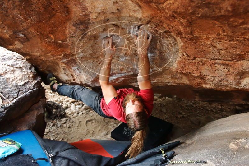 Bouldering in Hueco Tanks on 01/27/2020 with Blue Lizard Climbing and Yoga

Filename: SRM_20200127_1605190.jpg
Aperture: f/4.5
Shutter Speed: 1/250
Body: Canon EOS-1D Mark II
Lens: Canon EF 16-35mm f/2.8 L