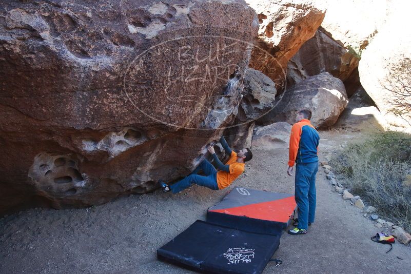 Bouldering in Hueco Tanks on 01/29/2020 with Blue Lizard Climbing and Yoga

Filename: SRM_20200129_1119360.jpg
Aperture: f/5.6
Shutter Speed: 1/250
Body: Canon EOS-1D Mark II
Lens: Canon EF 16-35mm f/2.8 L
