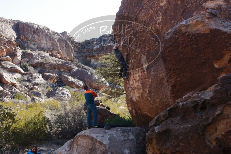 Bouldering in Hueco Tanks on 01/29/2020 with Blue Lizard Climbing and Yoga

Filename: SRM_20200129_1128540.jpg
Aperture: f/8.0
Shutter Speed: 1/250
Body: Canon EOS-1D Mark II
Lens: Canon EF 16-35mm f/2.8 L