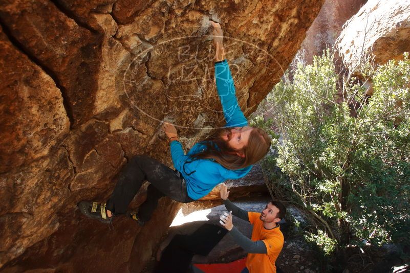 Bouldering in Hueco Tanks on 01/29/2020 with Blue Lizard Climbing and Yoga

Filename: SRM_20200129_1202270.jpg
Aperture: f/5.6
Shutter Speed: 1/250
Body: Canon EOS-1D Mark II
Lens: Canon EF 16-35mm f/2.8 L