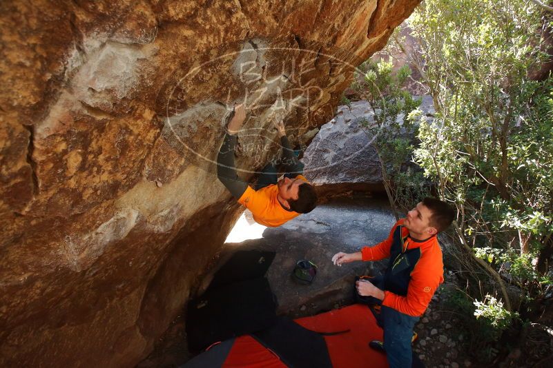 Bouldering in Hueco Tanks on 01/29/2020 with Blue Lizard Climbing and Yoga

Filename: SRM_20200129_1214320.jpg
Aperture: f/5.0
Shutter Speed: 1/250
Body: Canon EOS-1D Mark II
Lens: Canon EF 16-35mm f/2.8 L