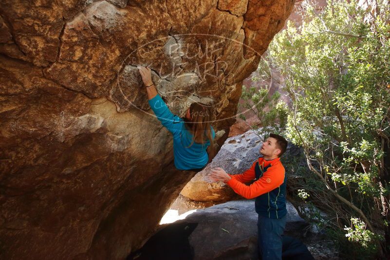 Bouldering in Hueco Tanks on 01/29/2020 with Blue Lizard Climbing and Yoga

Filename: SRM_20200129_1217571.jpg
Aperture: f/5.0
Shutter Speed: 1/250
Body: Canon EOS-1D Mark II
Lens: Canon EF 16-35mm f/2.8 L