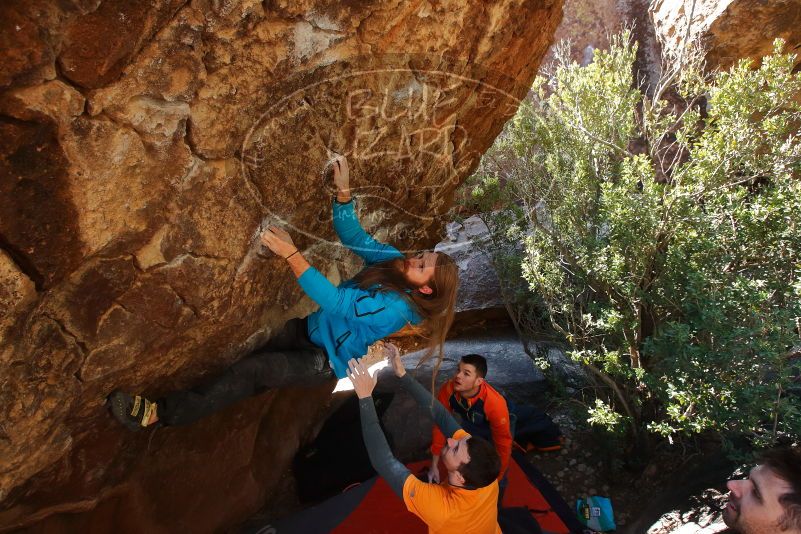 Bouldering in Hueco Tanks on 01/29/2020 with Blue Lizard Climbing and Yoga

Filename: SRM_20200129_1218170.jpg
Aperture: f/5.6
Shutter Speed: 1/250
Body: Canon EOS-1D Mark II
Lens: Canon EF 16-35mm f/2.8 L