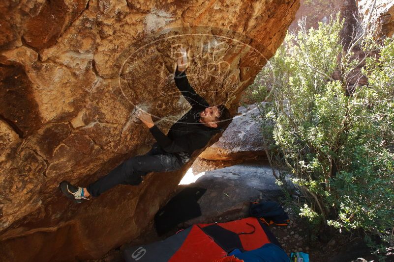 Bouldering in Hueco Tanks on 01/29/2020 with Blue Lizard Climbing and Yoga

Filename: SRM_20200129_1220440.jpg
Aperture: f/5.0
Shutter Speed: 1/250
Body: Canon EOS-1D Mark II
Lens: Canon EF 16-35mm f/2.8 L
