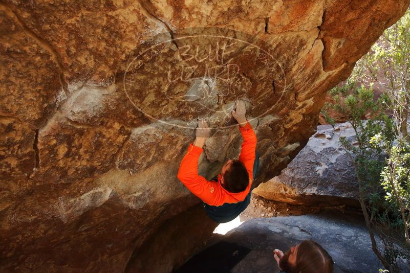 Bouldering in Hueco Tanks on 01/29/2020 with Blue Lizard Climbing and Yoga

Filename: SRM_20200129_1231380.jpg
Aperture: f/5.6
Shutter Speed: 1/250
Body: Canon EOS-1D Mark II
Lens: Canon EF 16-35mm f/2.8 L