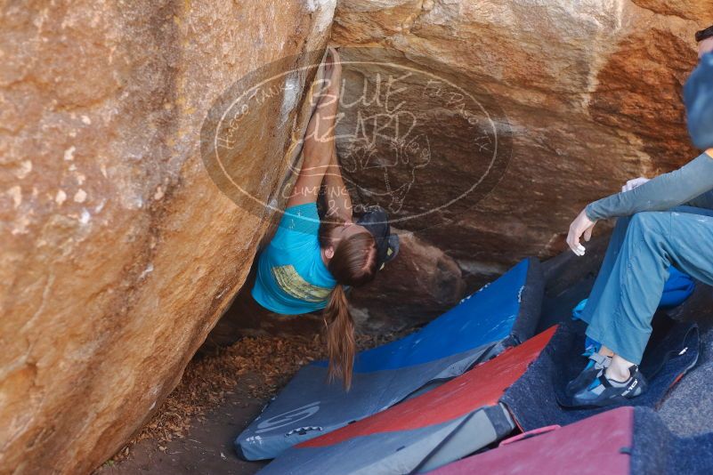 Bouldering in Hueco Tanks on 01/29/2020 with Blue Lizard Climbing and Yoga

Filename: SRM_20200129_1253140.jpg
Aperture: f/3.2
Shutter Speed: 1/250
Body: Canon EOS-1D Mark II
Lens: Canon EF 50mm f/1.8 II