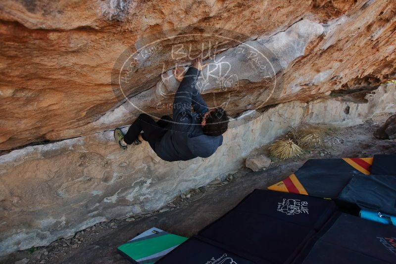 Bouldering in Hueco Tanks on 02/01/2020 with Blue Lizard Climbing and Yoga

Filename: SRM_20200201_1041410.jpg
Aperture: f/4.5
Shutter Speed: 1/250
Body: Canon EOS-1D Mark II
Lens: Canon EF 16-35mm f/2.8 L