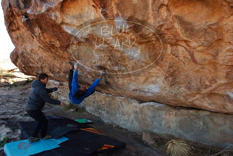 Bouldering in Hueco Tanks on 02/01/2020 with Blue Lizard Climbing and Yoga

Filename: SRM_20200201_1045530.jpg
Aperture: f/6.3
Shutter Speed: 1/250
Body: Canon EOS-1D Mark II
Lens: Canon EF 16-35mm f/2.8 L