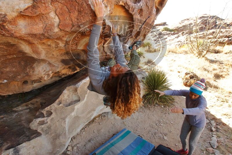 Bouldering in Hueco Tanks on 02/01/2020 with Blue Lizard Climbing and Yoga

Filename: SRM_20200201_1104140.jpg
Aperture: f/5.0
Shutter Speed: 1/250
Body: Canon EOS-1D Mark II
Lens: Canon EF 16-35mm f/2.8 L