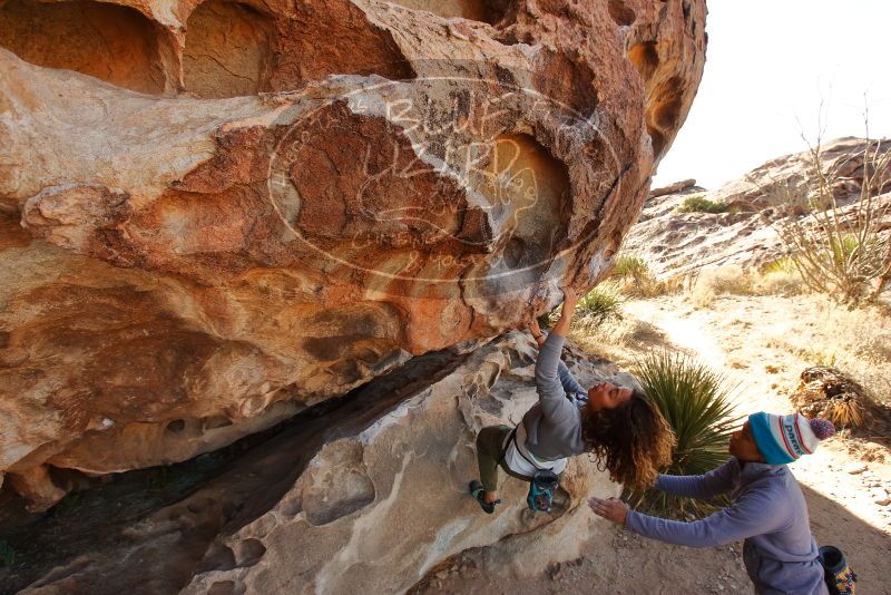 Bouldering in Hueco Tanks on 02/01/2020 with Blue Lizard Climbing and Yoga

Filename: SRM_20200201_1109270.jpg
Aperture: f/6.3
Shutter Speed: 1/250
Body: Canon EOS-1D Mark II
Lens: Canon EF 16-35mm f/2.8 L