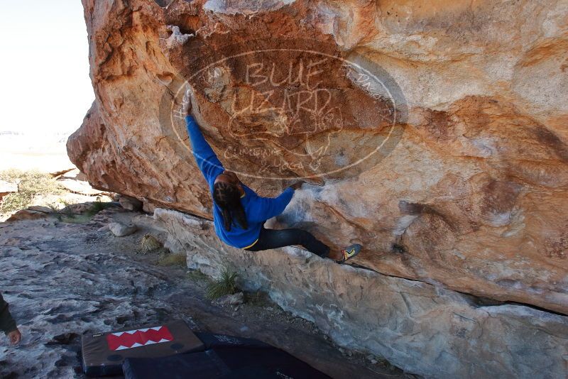 Bouldering in Hueco Tanks on 02/01/2020 with Blue Lizard Climbing and Yoga

Filename: SRM_20200201_1125111.jpg
Aperture: f/7.1
Shutter Speed: 1/250
Body: Canon EOS-1D Mark II
Lens: Canon EF 16-35mm f/2.8 L