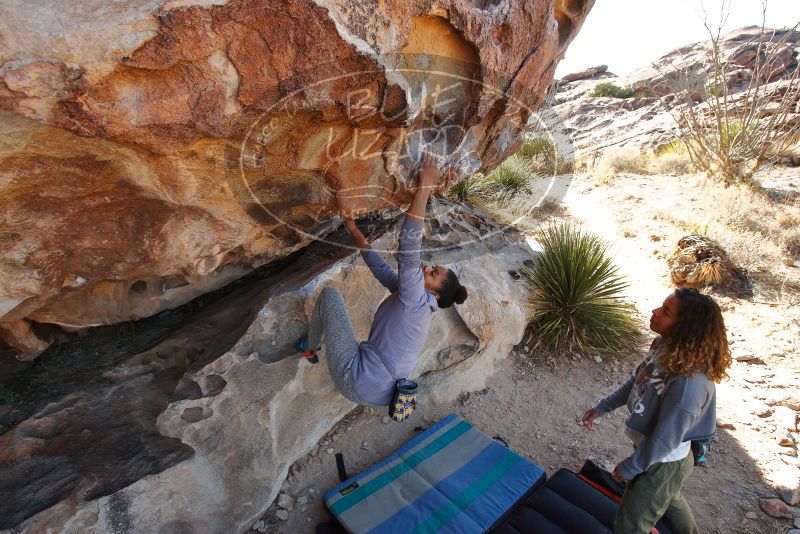 Bouldering in Hueco Tanks on 02/01/2020 with Blue Lizard Climbing and Yoga

Filename: SRM_20200201_1129430.jpg
Aperture: f/5.6
Shutter Speed: 1/250
Body: Canon EOS-1D Mark II
Lens: Canon EF 16-35mm f/2.8 L