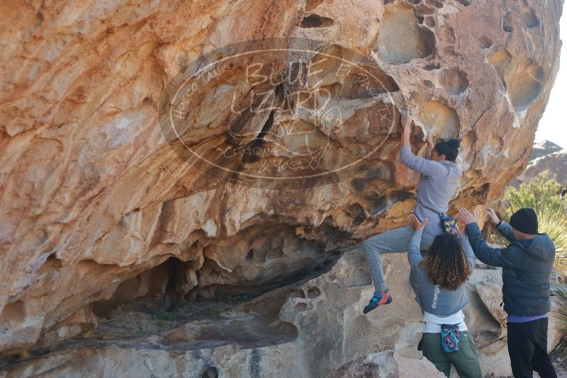 Bouldering in Hueco Tanks on 02/01/2020 with Blue Lizard Climbing and Yoga

Filename: SRM_20200201_1132300.jpg
Aperture: f/4.0
Shutter Speed: 1/320
Body: Canon EOS-1D Mark II
Lens: Canon EF 50mm f/1.8 II