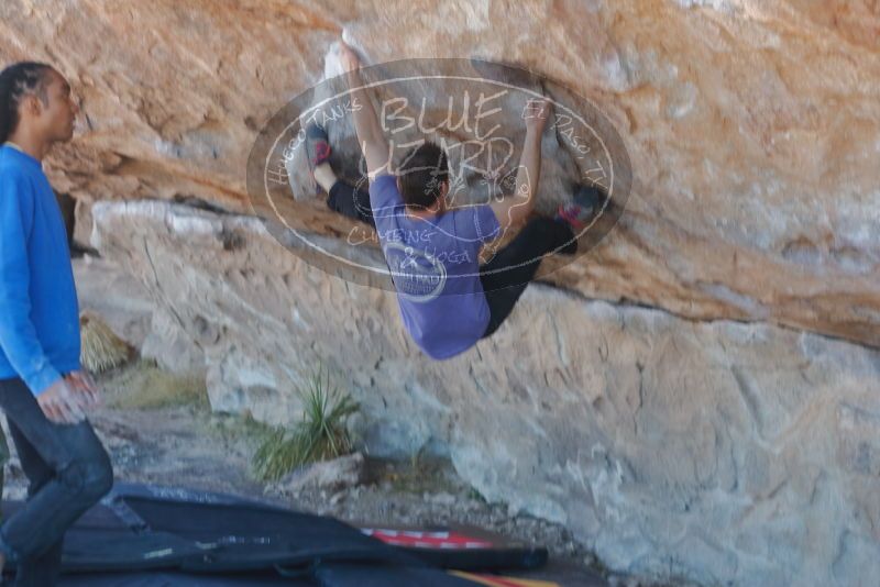 Bouldering in Hueco Tanks on 02/01/2020 with Blue Lizard Climbing and Yoga

Filename: SRM_20200201_1135450.jpg
Aperture: f/3.2
Shutter Speed: 1/250
Body: Canon EOS-1D Mark II
Lens: Canon EF 50mm f/1.8 II