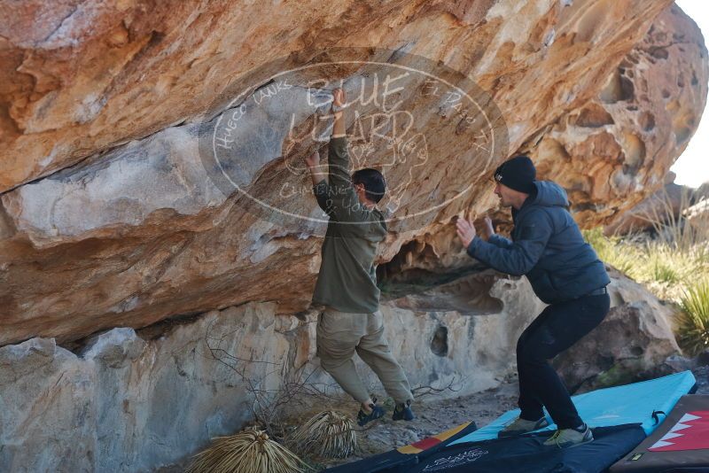 Bouldering in Hueco Tanks on 02/01/2020 with Blue Lizard Climbing and Yoga

Filename: SRM_20200201_1157381.jpg
Aperture: f/4.5
Shutter Speed: 1/250
Body: Canon EOS-1D Mark II
Lens: Canon EF 50mm f/1.8 II