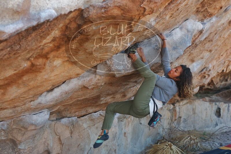 Bouldering in Hueco Tanks on 02/01/2020 with Blue Lizard Climbing and Yoga

Filename: SRM_20200201_1159020.jpg
Aperture: f/4.0
Shutter Speed: 1/250
Body: Canon EOS-1D Mark II
Lens: Canon EF 50mm f/1.8 II