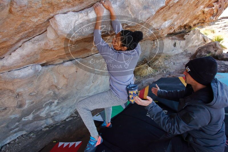 Bouldering in Hueco Tanks on 02/01/2020 with Blue Lizard Climbing and Yoga

Filename: SRM_20200201_1205120.jpg
Aperture: f/4.5
Shutter Speed: 1/250
Body: Canon EOS-1D Mark II
Lens: Canon EF 16-35mm f/2.8 L