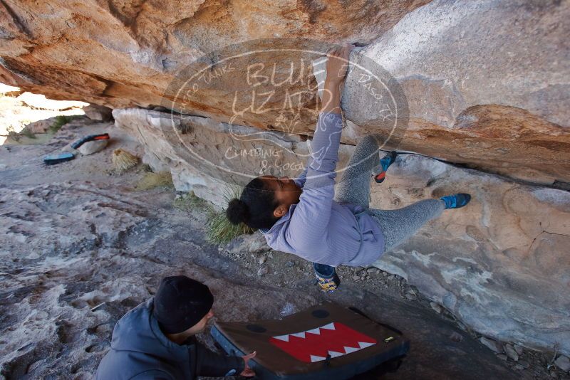 Bouldering in Hueco Tanks on 02/01/2020 with Blue Lizard Climbing and Yoga

Filename: SRM_20200201_1213160.jpg
Aperture: f/4.5
Shutter Speed: 1/250
Body: Canon EOS-1D Mark II
Lens: Canon EF 16-35mm f/2.8 L