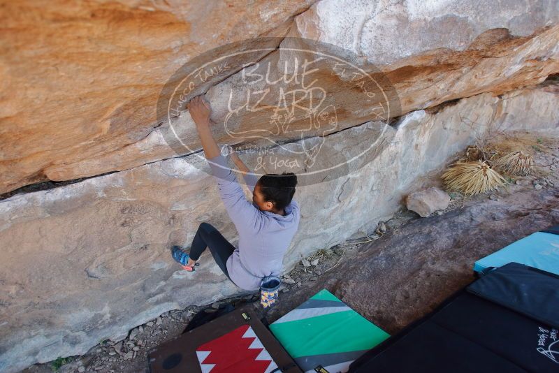 Bouldering in Hueco Tanks on 02/01/2020 with Blue Lizard Climbing and Yoga

Filename: SRM_20200201_1236540.jpg
Aperture: f/3.2
Shutter Speed: 1/250
Body: Canon EOS-1D Mark II
Lens: Canon EF 16-35mm f/2.8 L