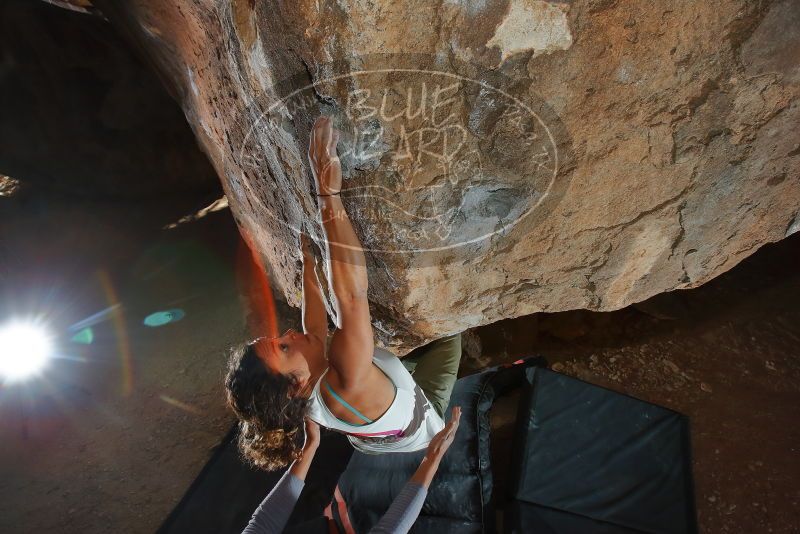 Bouldering in Hueco Tanks on 02/01/2020 with Blue Lizard Climbing and Yoga

Filename: SRM_20200201_1456310.jpg
Aperture: f/8.0
Shutter Speed: 1/250
Body: Canon EOS-1D Mark II
Lens: Canon EF 16-35mm f/2.8 L