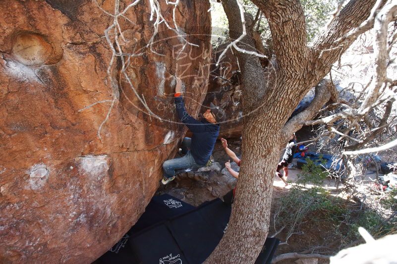 Bouldering in Hueco Tanks on 02/08/2020 with Blue Lizard Climbing and Yoga

Filename: SRM_20200208_1122480.jpg
Aperture: f/5.0
Shutter Speed: 1/250
Body: Canon EOS-1D Mark II
Lens: Canon EF 16-35mm f/2.8 L