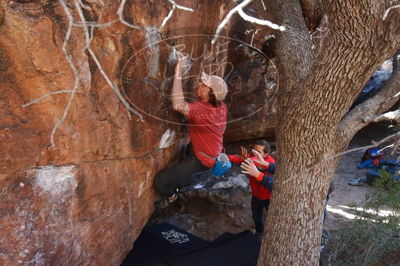 Bouldering in Hueco Tanks on 02/08/2020 with Blue Lizard Climbing and Yoga

Filename: SRM_20200208_1124460.jpg
Aperture: f/5.6
Shutter Speed: 1/250
Body: Canon EOS-1D Mark II
Lens: Canon EF 16-35mm f/2.8 L