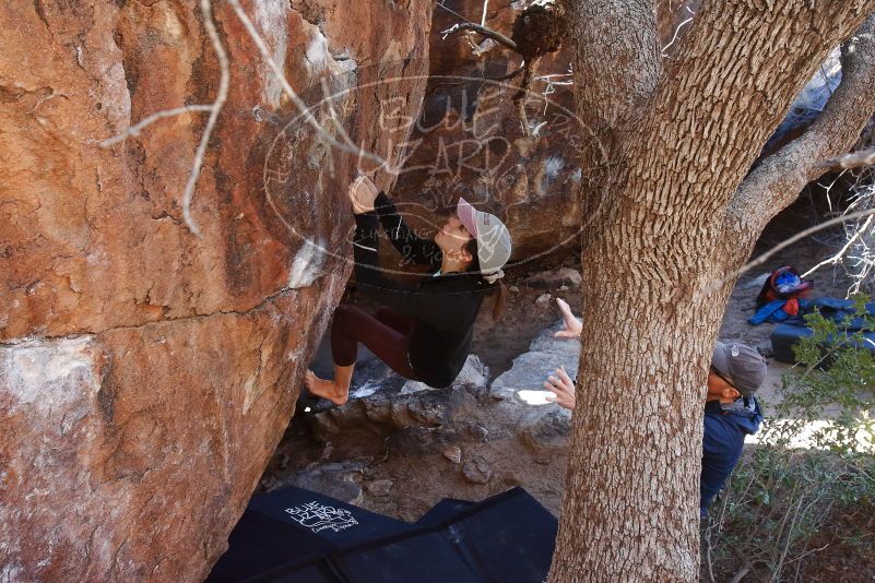 Bouldering in Hueco Tanks on 02/08/2020 with Blue Lizard Climbing and Yoga

Filename: SRM_20200208_1127360.jpg
Aperture: f/5.0
Shutter Speed: 1/250
Body: Canon EOS-1D Mark II
Lens: Canon EF 16-35mm f/2.8 L
