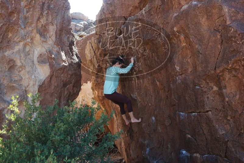 Bouldering in Hueco Tanks on 02/08/2020 with Blue Lizard Climbing and Yoga

Filename: SRM_20200208_1255220.jpg
Aperture: f/4.5
Shutter Speed: 1/250
Body: Canon EOS-1D Mark II
Lens: Canon EF 50mm f/1.8 II