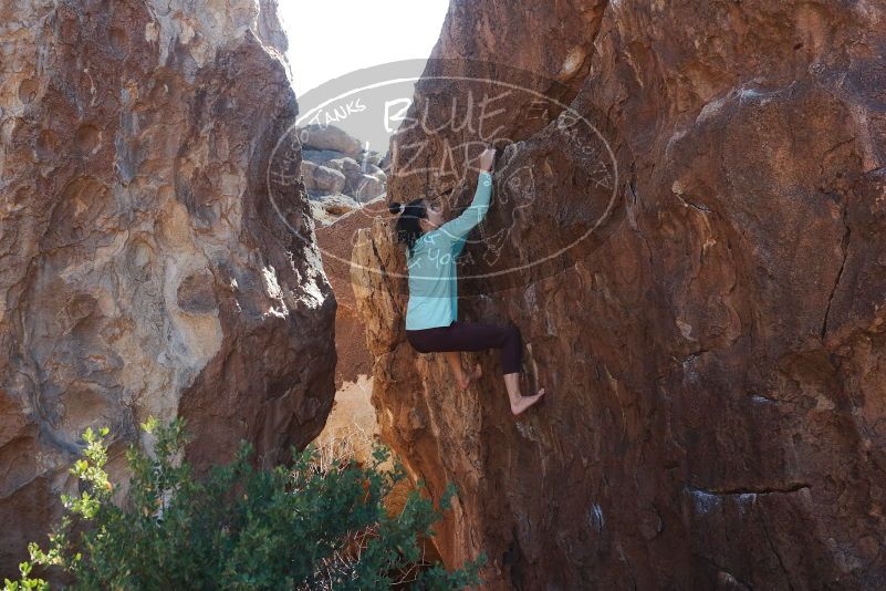 Bouldering in Hueco Tanks on 02/08/2020 with Blue Lizard Climbing and Yoga

Filename: SRM_20200208_1255300.jpg
Aperture: f/5.0
Shutter Speed: 1/250
Body: Canon EOS-1D Mark II
Lens: Canon EF 50mm f/1.8 II