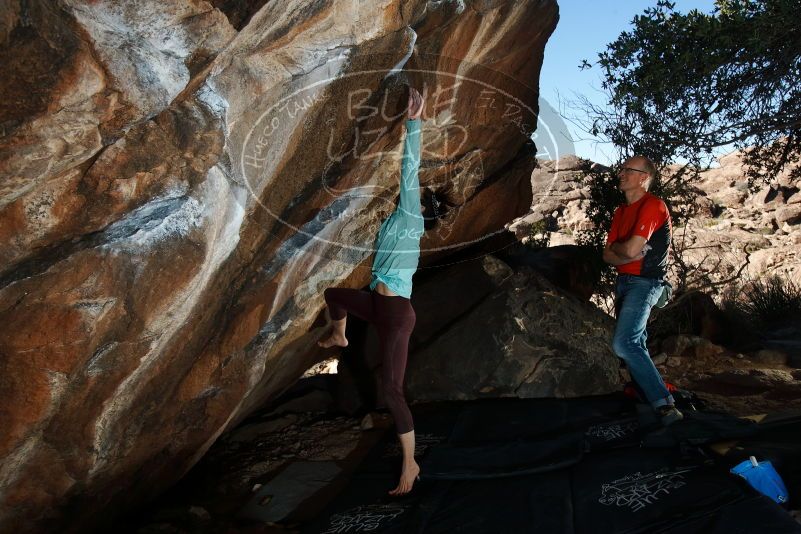 Bouldering in Hueco Tanks on 02/08/2020 with Blue Lizard Climbing and Yoga

Filename: SRM_20200208_1608200.jpg
Aperture: f/8.0
Shutter Speed: 1/250
Body: Canon EOS-1D Mark II
Lens: Canon EF 16-35mm f/2.8 L