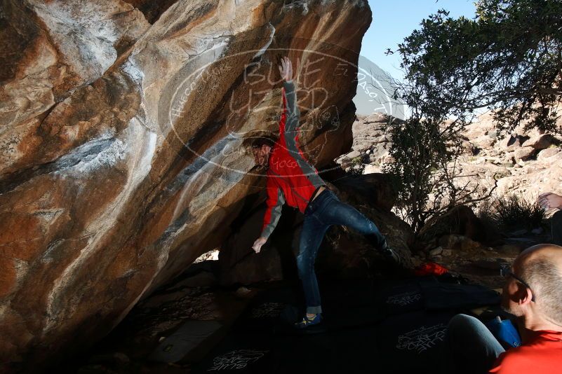Bouldering in Hueco Tanks on 02/08/2020 with Blue Lizard Climbing and Yoga

Filename: SRM_20200208_1609020.jpg
Aperture: f/8.0
Shutter Speed: 1/250
Body: Canon EOS-1D Mark II
Lens: Canon EF 16-35mm f/2.8 L