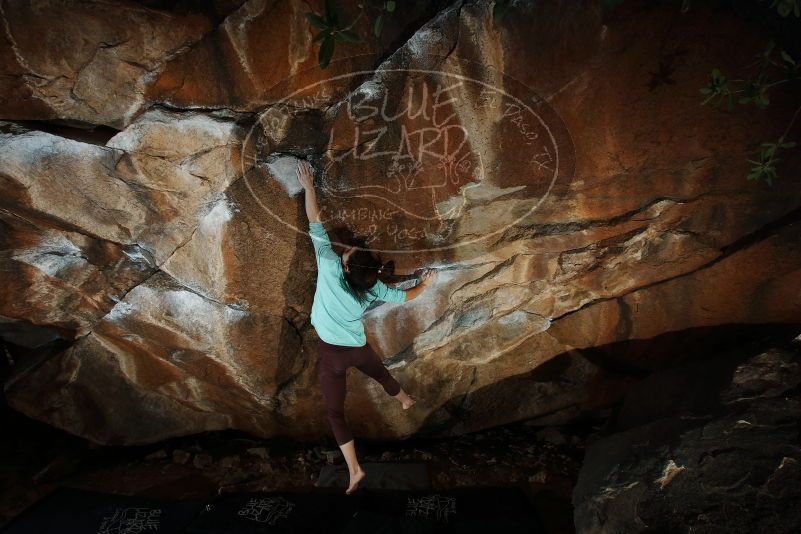 Bouldering in Hueco Tanks on 02/08/2020 with Blue Lizard Climbing and Yoga

Filename: SRM_20200208_1619470.jpg
Aperture: f/8.0
Shutter Speed: 1/250
Body: Canon EOS-1D Mark II
Lens: Canon EF 16-35mm f/2.8 L