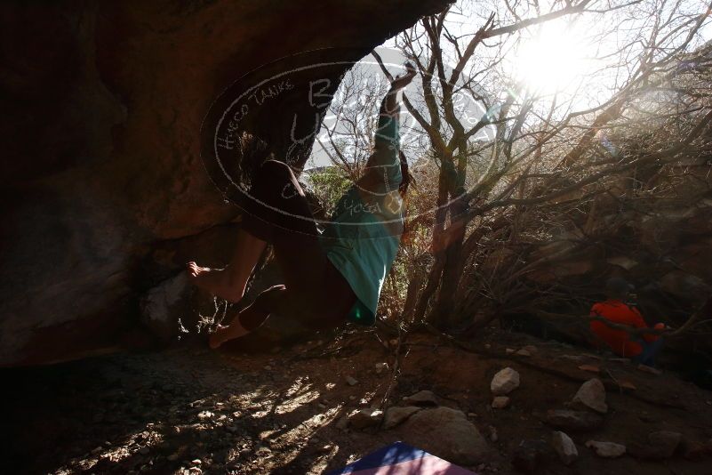 Bouldering in Hueco Tanks on 02/08/2020 with Blue Lizard Climbing and Yoga

Filename: SRM_20200208_1634470.jpg
Aperture: f/10.0
Shutter Speed: 1/250
Body: Canon EOS-1D Mark II
Lens: Canon EF 16-35mm f/2.8 L