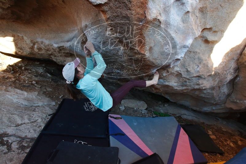 Bouldering in Hueco Tanks on 02/08/2020 with Blue Lizard Climbing and Yoga

Filename: SRM_20200208_1812360.jpg
Aperture: f/4.5
Shutter Speed: 1/250
Body: Canon EOS-1D Mark II
Lens: Canon EF 16-35mm f/2.8 L