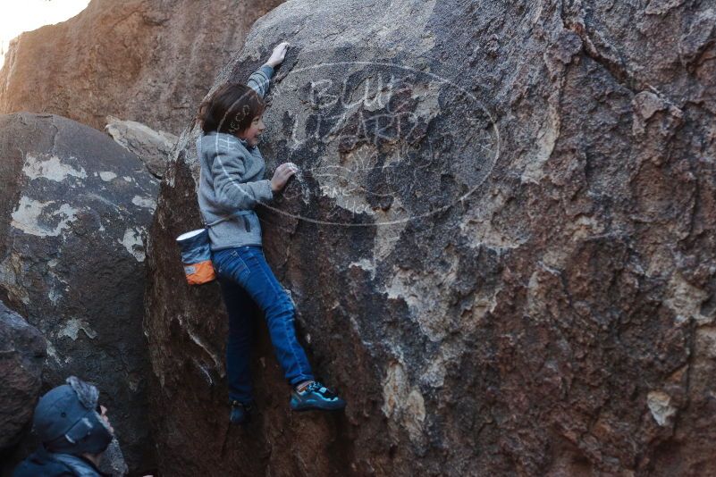 Bouldering in Hueco Tanks on 01/06/2020 with Blue Lizard Climbing and Yoga

Filename: SRM_20200106_1058091.jpg
Aperture: f/3.5
Shutter Speed: 1/250
Body: Canon EOS-1D Mark II
Lens: Canon EF 50mm f/1.8 II