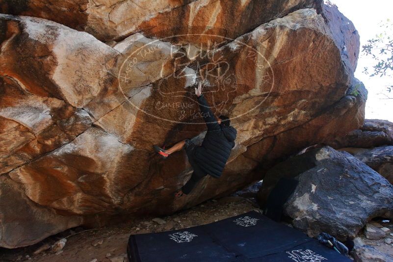 Bouldering in Hueco Tanks on 01/06/2020 with Blue Lizard Climbing and Yoga

Filename: SRM_20200106_1241080.jpg
Aperture: f/5.0
Shutter Speed: 1/320
Body: Canon EOS-1D Mark II
Lens: Canon EF 16-35mm f/2.8 L
