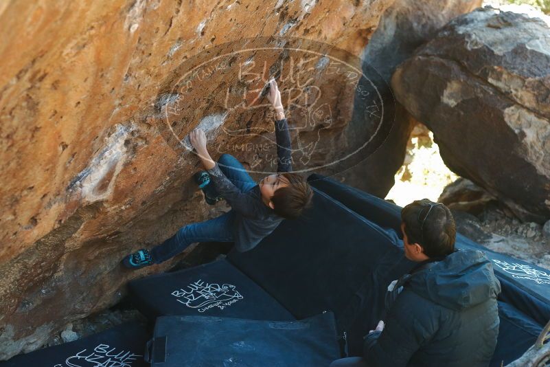 Bouldering in Hueco Tanks on 01/06/2020 with Blue Lizard Climbing and Yoga

Filename: SRM_20200106_1427300.jpg
Aperture: f/3.5
Shutter Speed: 1/320
Body: Canon EOS-1D Mark II
Lens: Canon EF 50mm f/1.8 II