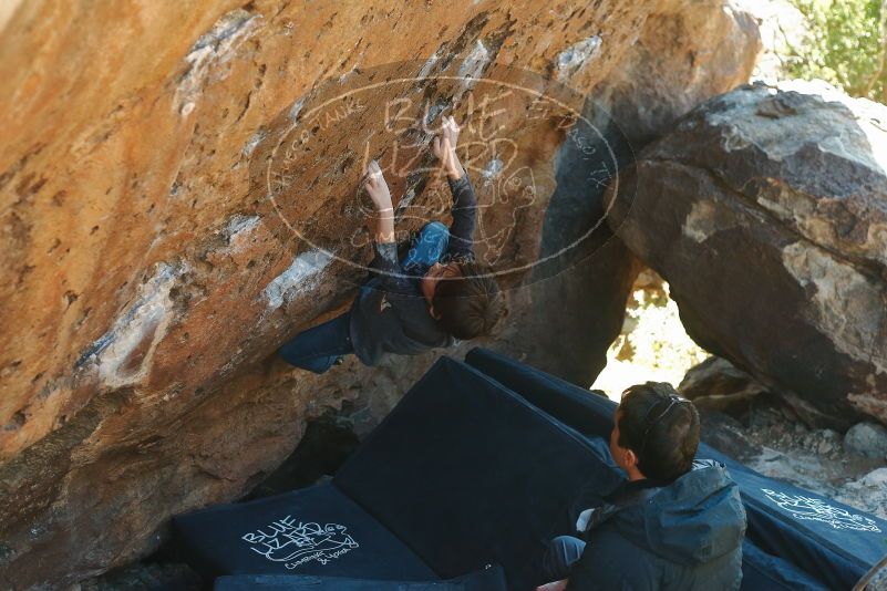 Bouldering in Hueco Tanks on 01/06/2020 with Blue Lizard Climbing and Yoga

Filename: SRM_20200106_1427410.jpg
Aperture: f/3.5
Shutter Speed: 1/320
Body: Canon EOS-1D Mark II
Lens: Canon EF 50mm f/1.8 II
