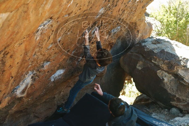 Bouldering in Hueco Tanks on 01/06/2020 with Blue Lizard Climbing and Yoga

Filename: SRM_20200106_1429311.jpg
Aperture: f/4.0
Shutter Speed: 1/320
Body: Canon EOS-1D Mark II
Lens: Canon EF 50mm f/1.8 II