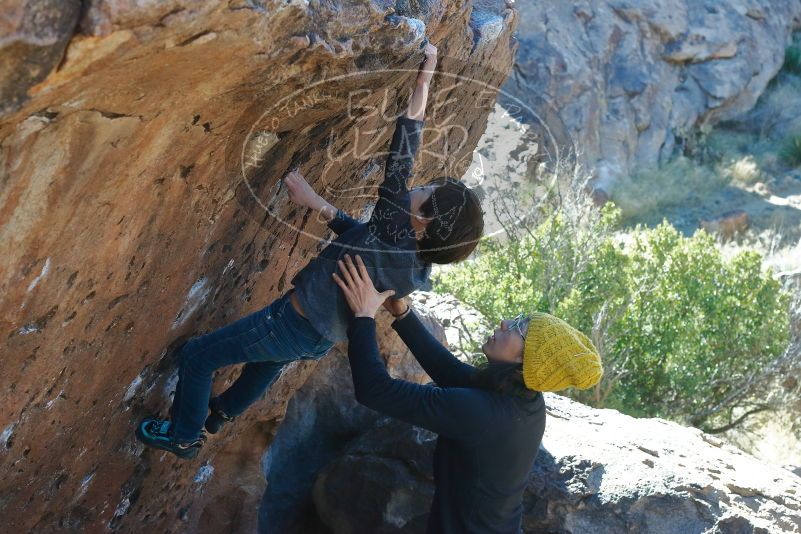 Bouldering in Hueco Tanks on 01/06/2020 with Blue Lizard Climbing and Yoga

Filename: SRM_20200106_1435270.jpg
Aperture: f/6.3
Shutter Speed: 1/320
Body: Canon EOS-1D Mark II
Lens: Canon EF 50mm f/1.8 II
